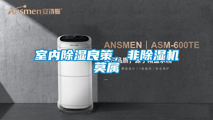室內除濕良策,非除濕機莫屬