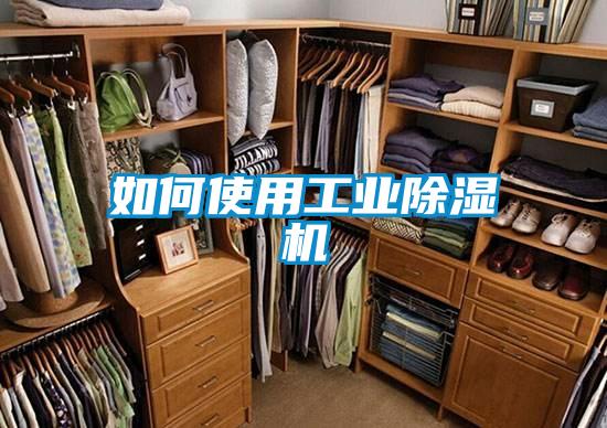 如何使用工業除濕機