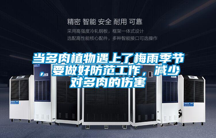 當多肉植物遇上了梅雨季節(jié)，要做好防范工作，減少對多肉的傷害