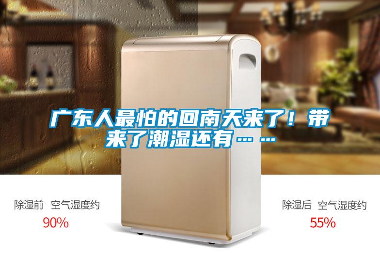 廣東人最怕的回南天來(lái)了!帶來(lái)了潮濕還有……