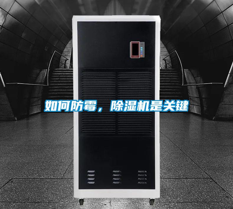 如何防霉，除濕機是關鍵