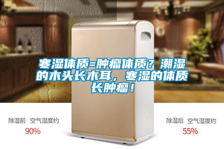 寒濕體質=腫瘤體質？潮濕的木頭長木耳，寒濕的體質長腫瘤！