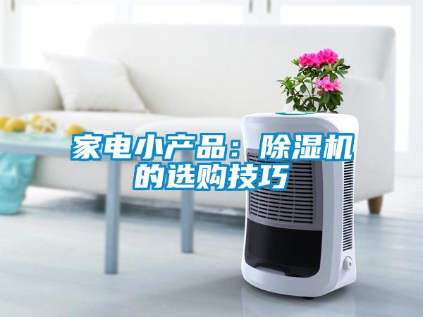 家電小產(chǎn)品:除濕機(jī)的選購技巧