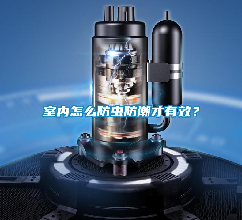 室內怎么防蟲防潮才有效？