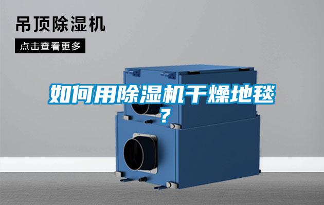 如何用除濕機干燥地毯？