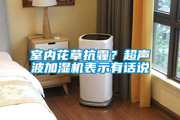 室內(nèi)花草抗霾?超聲波加濕機(jī)表示有話說
