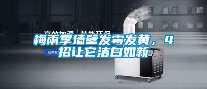 梅雨季墻壁發霉發黃,4招讓它潔白如新