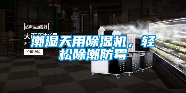 潮濕天用除濕機,輕松除潮防霉
