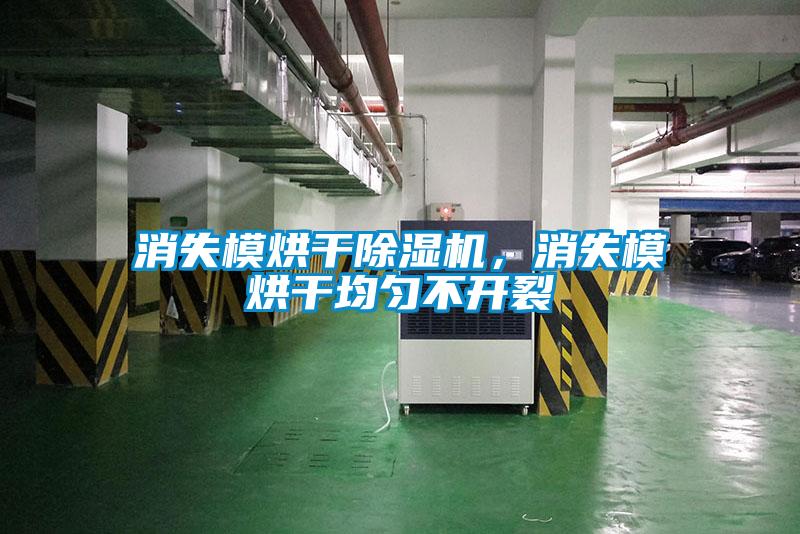 消失模烘干除濕機(jī),消失模烘干均勻不開裂