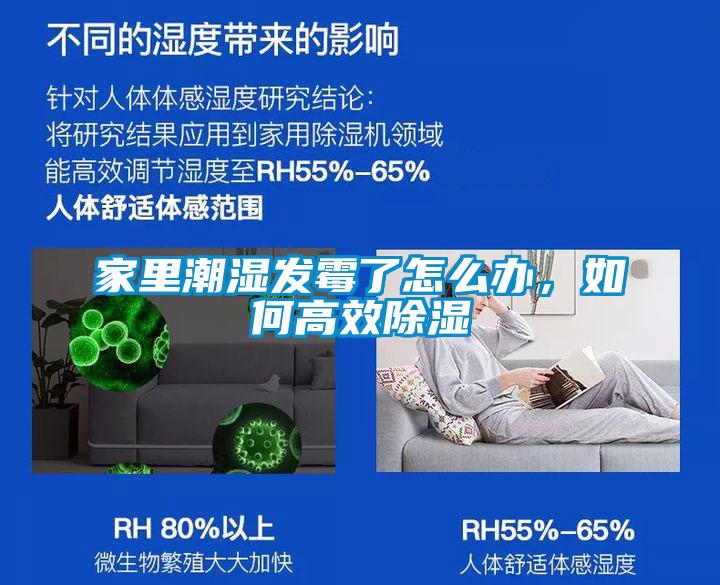 家里潮濕發(fā)霉了怎么辦，如何高效除濕