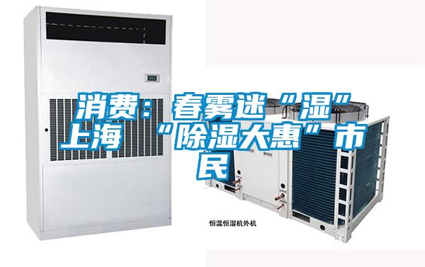 消費:春霧迷“濕”上海 “除濕大惠”市民