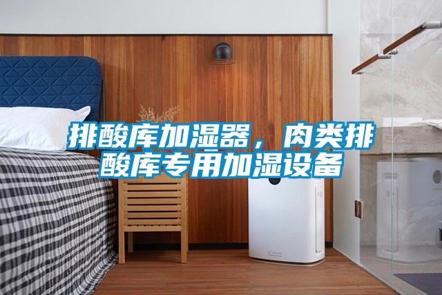 排酸庫加濕器,肉類排酸庫專用加濕設備