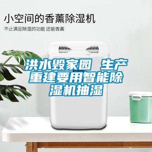 洪水毀家園 生產重建要用智能除濕機抽濕