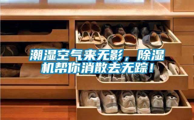 潮濕空氣來無影,除濕機(jī)幫你消散去無蹤!
