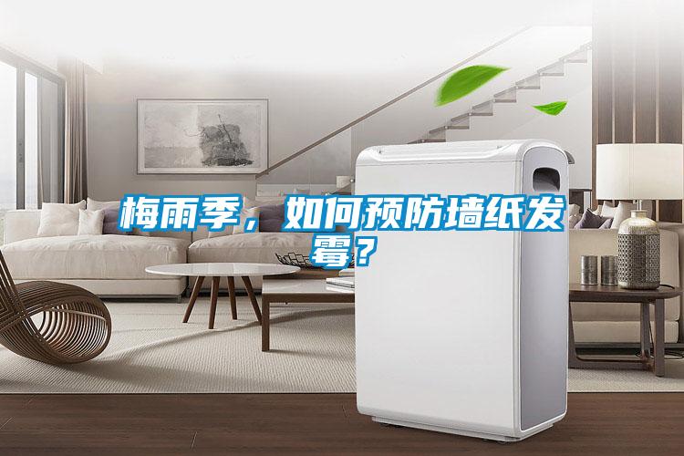 梅雨季,如何預防墻紙發霉?