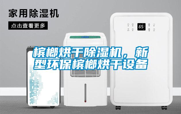 檳榔烘干除濕機,新型環(huán)保檳榔烘干設(shè)備
