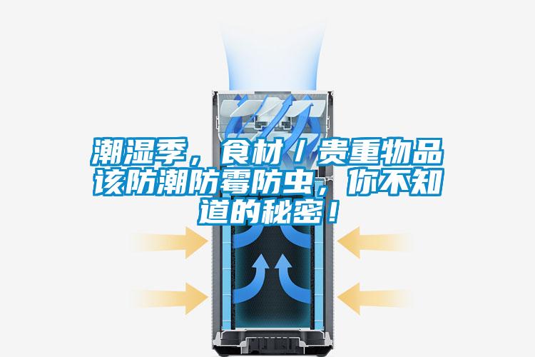 潮濕季，食材／貴重物品該防潮防霉防蟲，你不知道的秘密！