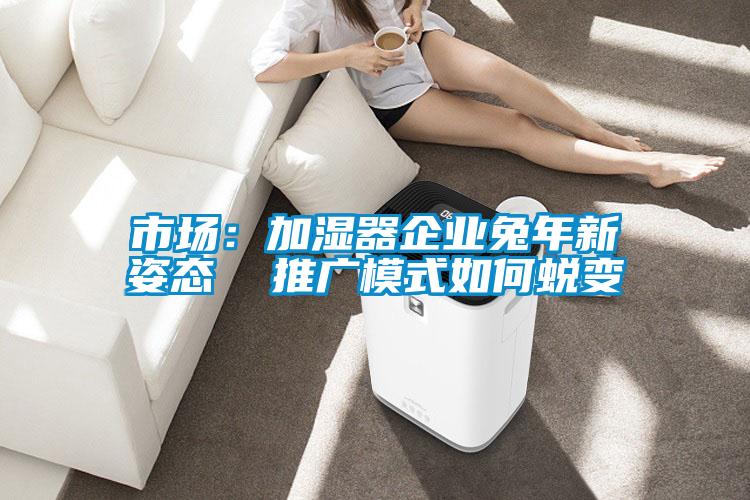 市場:加濕器企業兔年新姿態 推廣模式如何蛻變