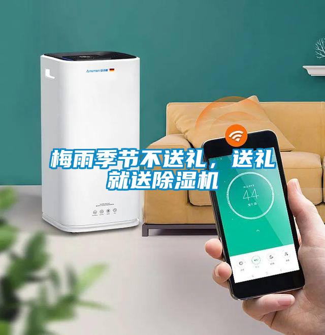 梅雨季節不送禮，送禮就送除濕機