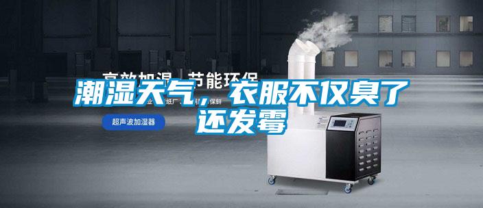 潮濕天氣,衣服不僅臭了還發霉