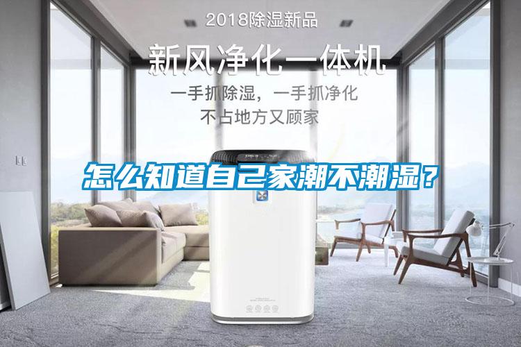 怎么知道自己家潮不潮濕?