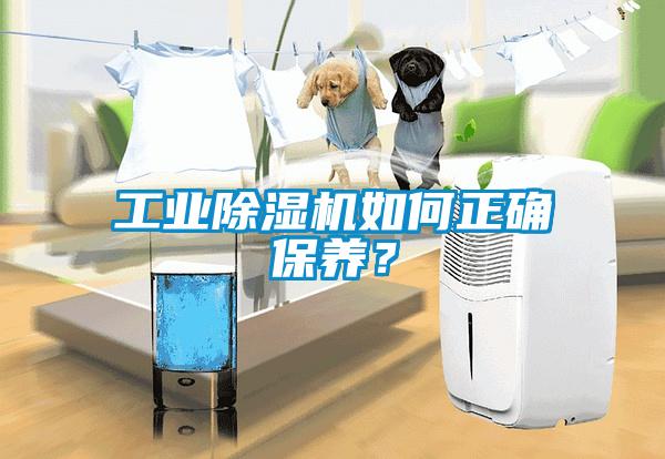 工業(yè)除濕機如何正確保養(yǎng)？