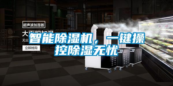 智能除濕機(jī),一鍵操控除濕無憂