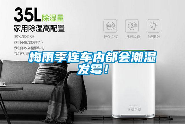 梅雨季連車內(nèi)都會潮濕發(fā)霉!