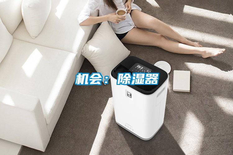 機(jī)會:除濕器