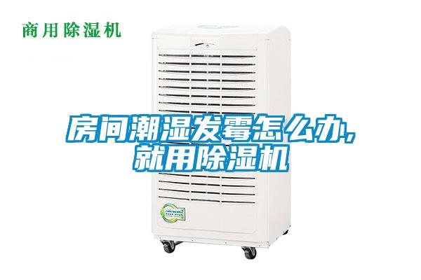 房間潮濕發霉怎么辦,就用除濕機