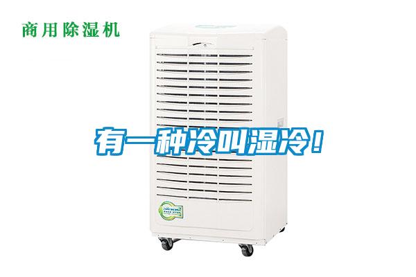 有一種冷叫濕冷!