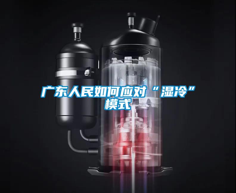 廣東人民如何應對“濕冷”模式