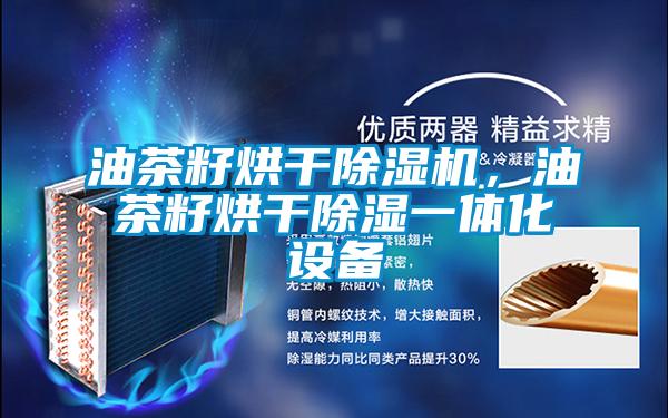 油茶籽烘干除濕機,油茶籽烘干除濕一體化設備