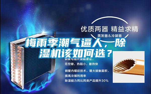 梅雨季潮氣逼人,除濕機該如何選?