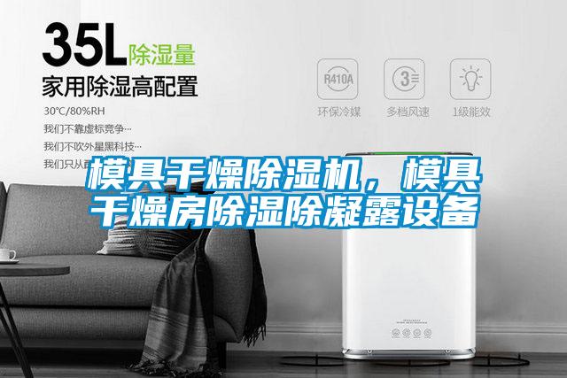 模具干燥除濕機(jī),模具干燥房除濕除凝露設(shè)備