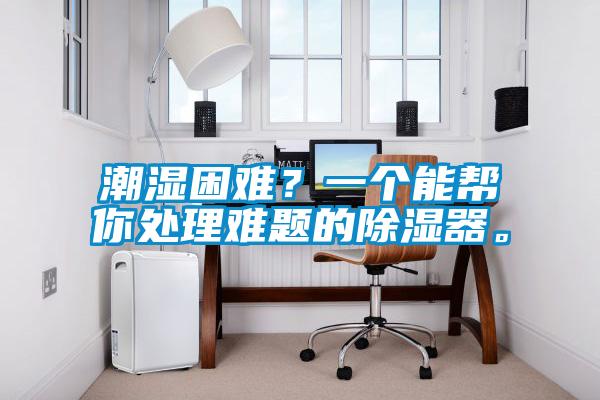 潮濕困難?一個能幫你處理難題的除濕器。
