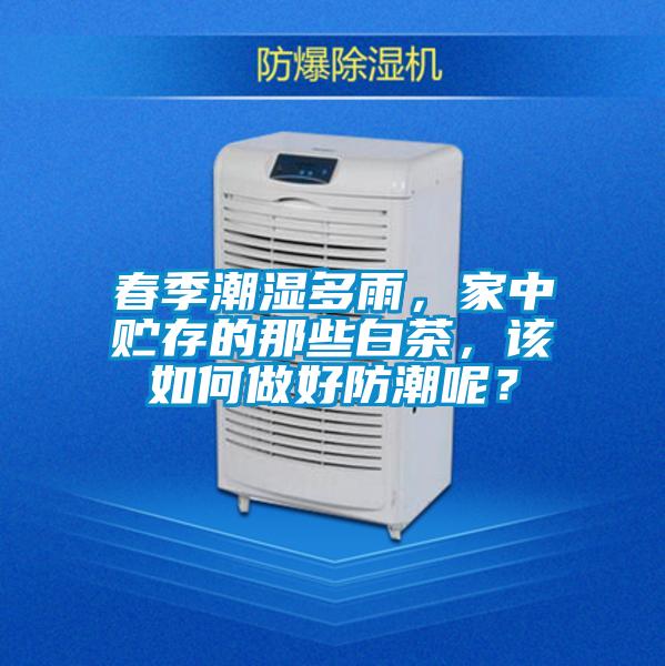 春季潮濕多雨,家中貯存的那些白茶,該如何做好防潮呢?