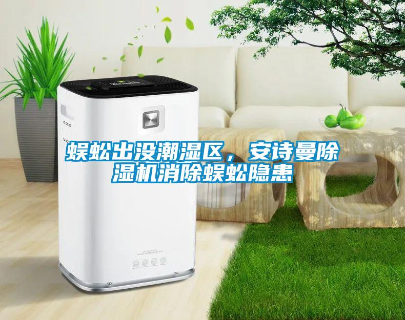蜈蚣出沒潮濕區(qū)，安詩曼除濕機(jī)消除蜈蚣隱患