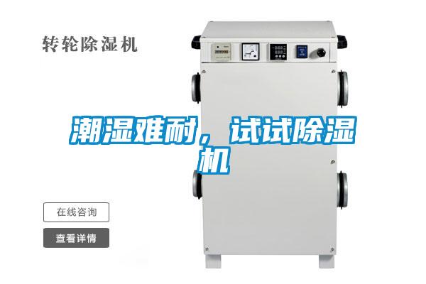 潮濕難耐,試試除濕機