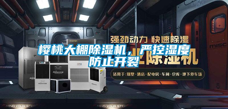 櫻桃大棚除濕機,嚴控濕度防止開裂