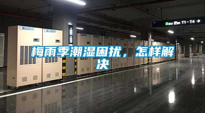 梅雨季潮濕困擾,怎樣解決