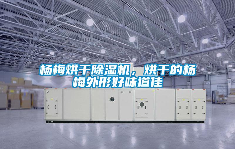 楊梅烘干除濕機(jī)，烘干的楊梅外形好味道佳