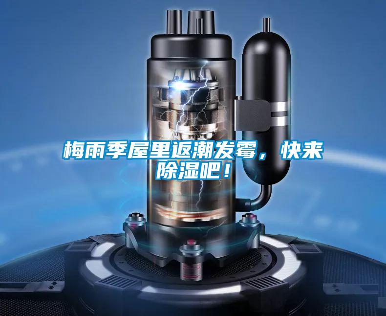 梅雨季屋里返潮發(fā)霉,快來除濕吧!