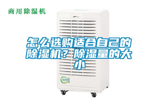 怎么選購(gòu)適合自己的除濕機(jī)？除濕量的大小