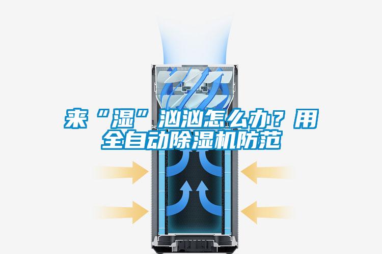 來“濕”洶洶怎么辦?用全自動除濕機防范