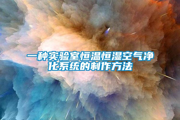 一種實驗室恒溫恒濕空氣凈化系統的制作方法