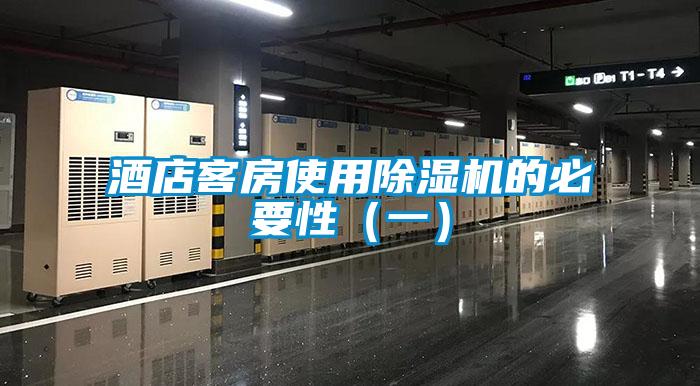 酒店客房使用除濕機(jī)的必要性(一)