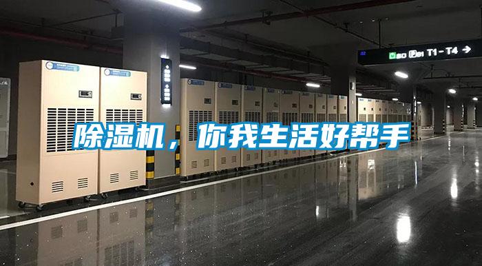 除濕機,你我生活好幫手