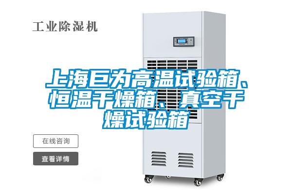 上海巨為高溫試驗箱、恒溫干燥箱、真空干燥試驗箱