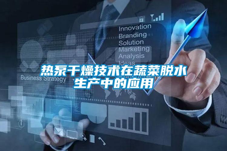 熱泵干燥技術在蔬菜脫水生產中的應用